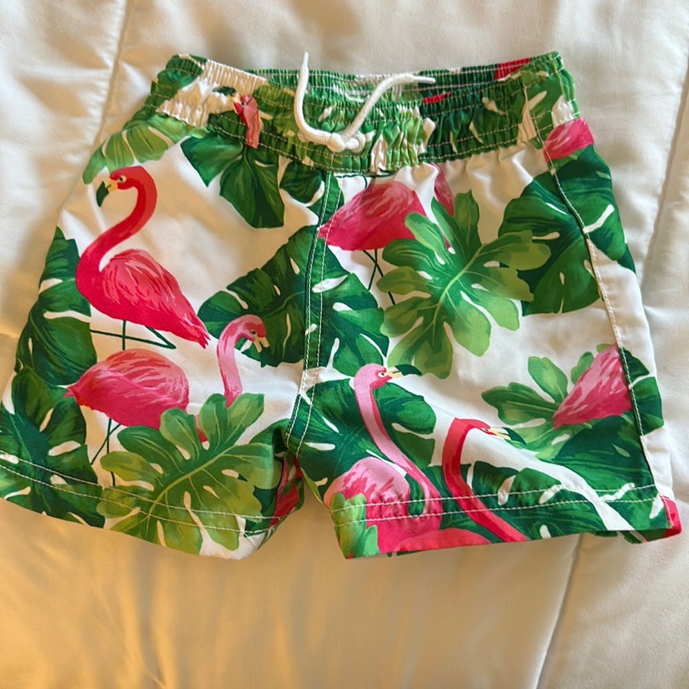 Janie and Jack Swim Trunks